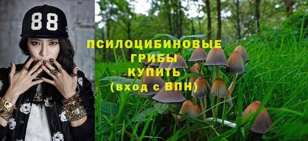 ПСИЛОЦИБИНОВЫЕ ГРИБЫ Каменск-Шахтинский