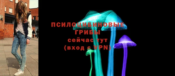 ПСИЛОЦИБИНОВЫЕ ГРИБЫ Каменск-Шахтинский