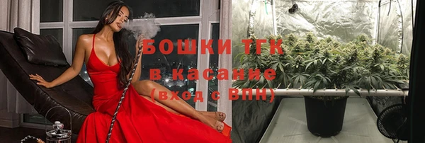 таблы Каменногорск