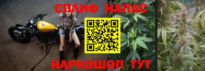 хмурый Краснодар