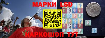 хмурый Краснодар