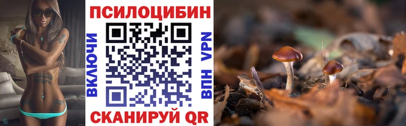 Псилоцибиновые грибы GOLDEN TEACHER  Фрязино 