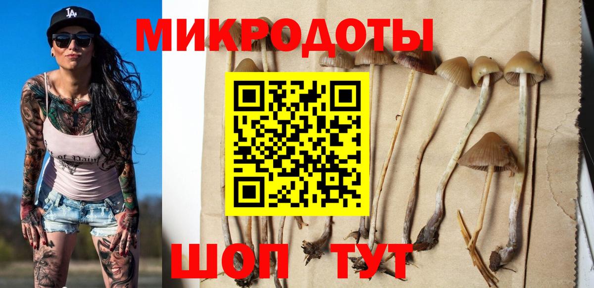 Псилоцибиновые грибы мухоморы  Вход с VPN  Фрязино 